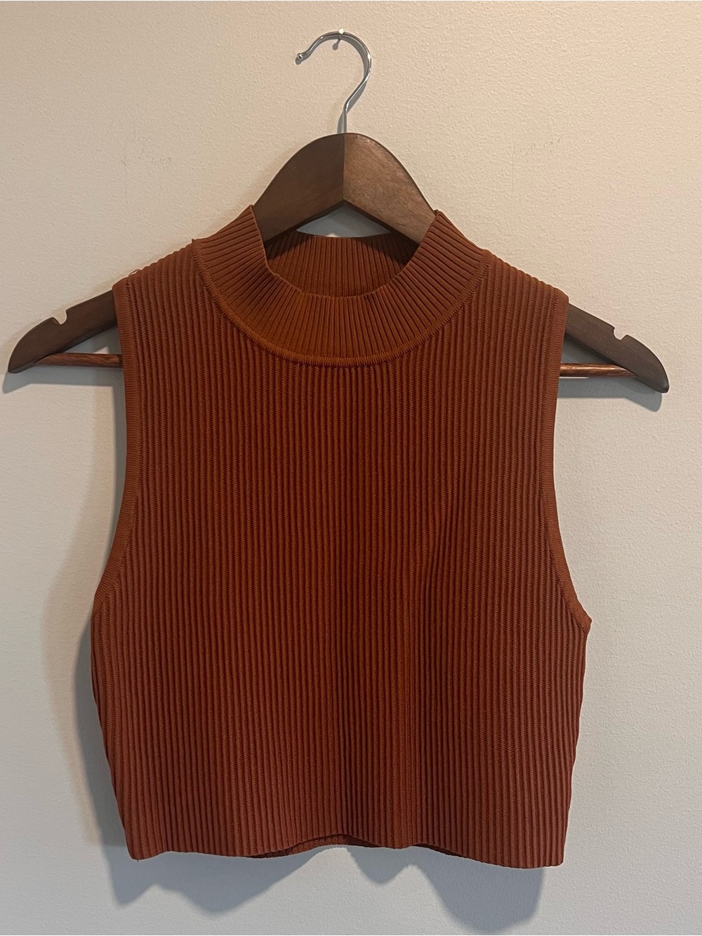 Altar'd State Rust Ribbed Mock Neck Crop Top